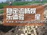 种植基地八