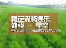 种植基地四