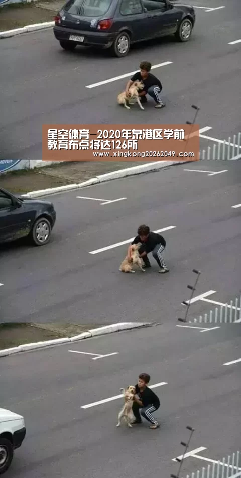星空体育-2020年泉港区学前教育布点将达126所(图3) 星空官网