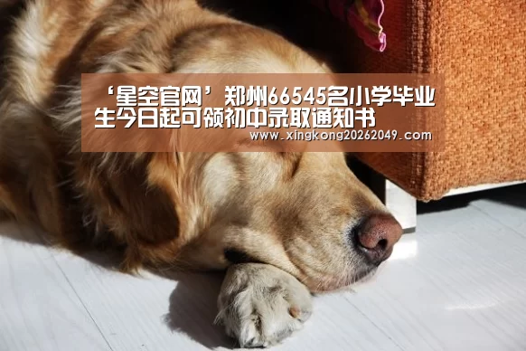 星空直播