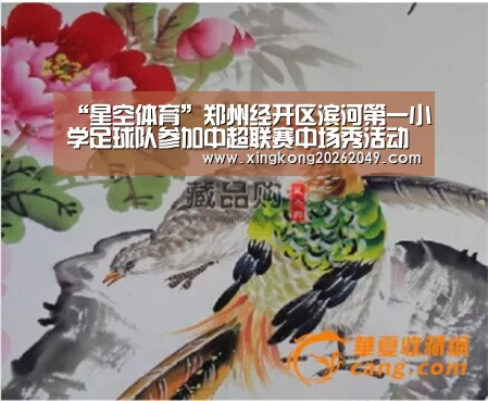 “星空体育”郑州经开区滨河第一小学足球队参加中超联赛中场秀活动(图3) 星空平台