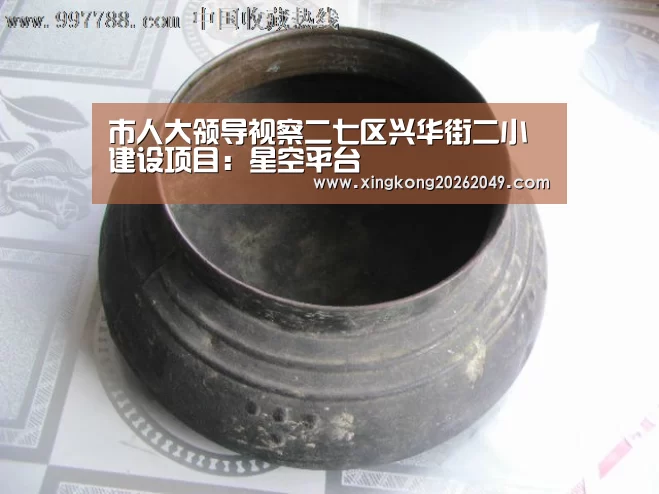 市人大领导视察二七区兴华街二小建设项目:星空平台(图2) 星空直播