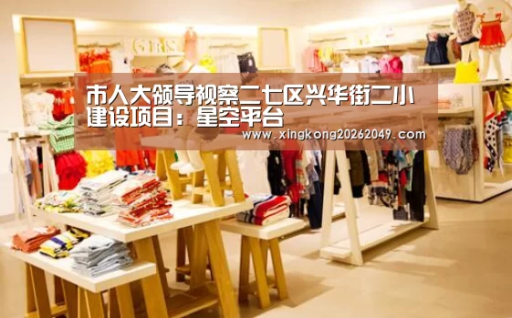 市人大领导视察二七区兴华街二小建设项目:星空平台(图3) 星空直播